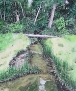 "Angus Creek Estuary"
