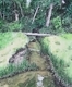 "Angus Creek Estuary"