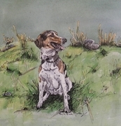 "Beagle"