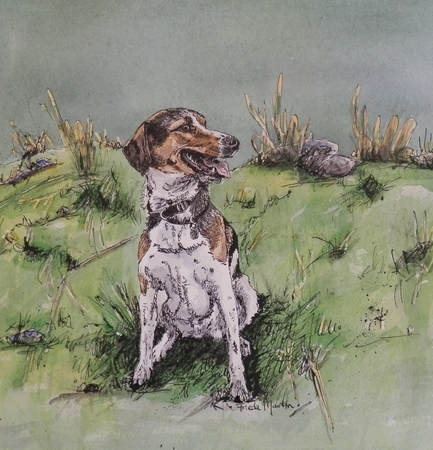 "Beagle"