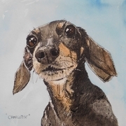 "Charlotte"