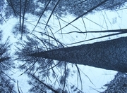 "Equilibrium"