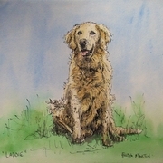 "Laddie"