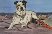 "Lola"