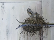 "Nestling"
