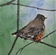 "Resting Robin"