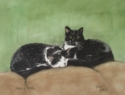 "Shyllo & Oliver"
