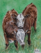 "Til the Cows Come Home"
