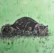 'Wilbur"